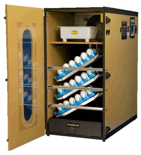 used cabinet incubator